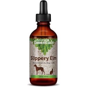 Animal Essentials Slippery Elm – Herbal Extract for Dogs and Cats, Promotes Healthy Digestion, Bowel Function, Certified Organic Herbs, All Natural, Respiratory Health, Liquid Formula – 2 Fl Oz