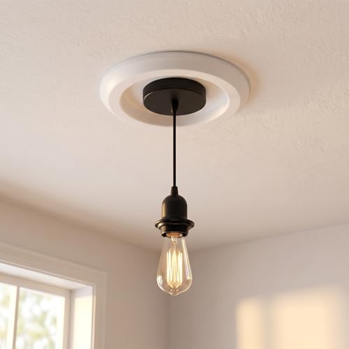 Kit de conversion pour luminaire encastré avec douille E26 et kit de montage plafonnier