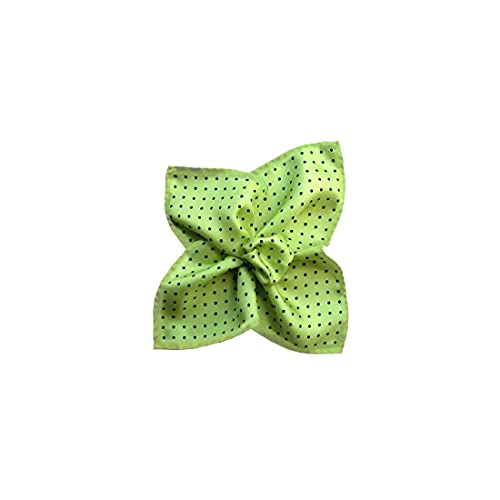 Pochette costume soie Segni Et Disegni vert lime a pois