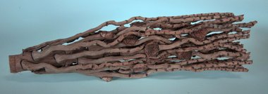 Coconut- Flower, Terraristik, Floristik, Gartendeko Cover