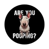 Zoom IMG-2 are you pooping dog bull