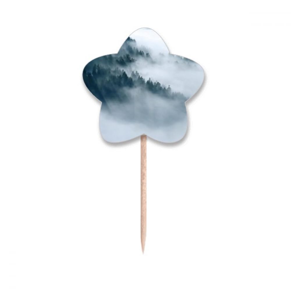 Étoiles lable cupcake picks et cure-dents nuages pour réussir vos décorations de gâteaux