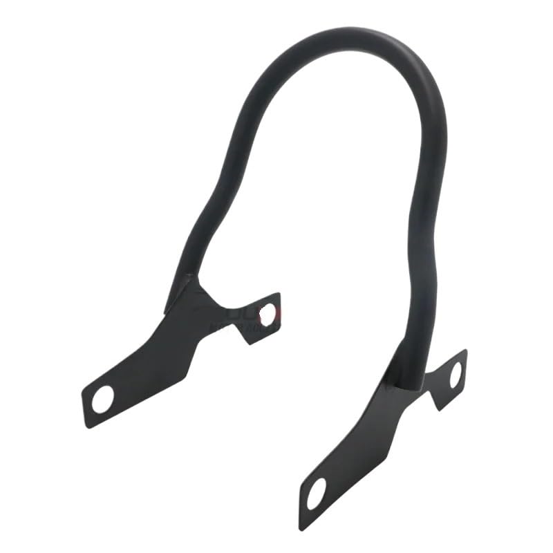 Dossier passager Sportster pour éliminer la fatigue du dos en voyage