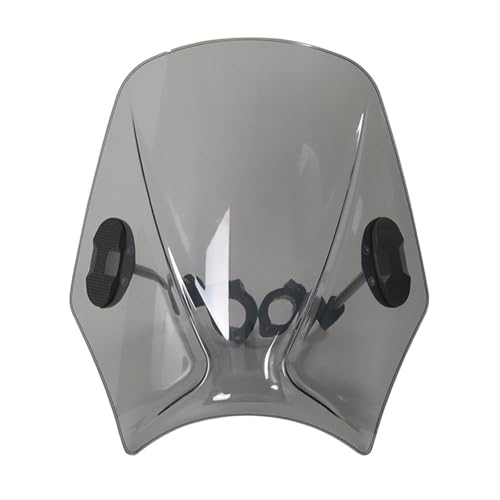 Pare-brise SVARTPILEN 401 finition premium fumé clair avant