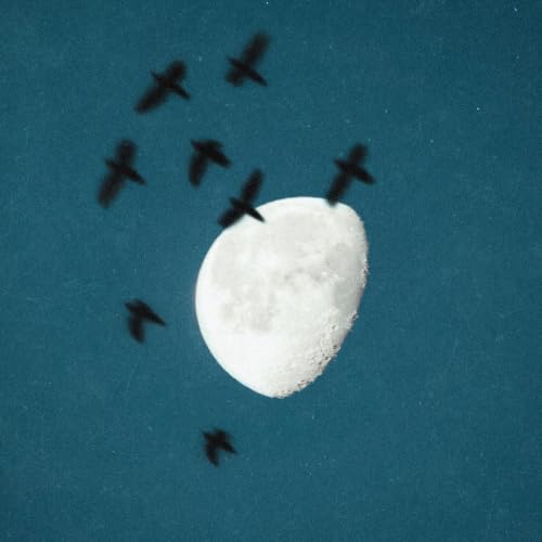 Die Hexe von Pendach (8/8): Mondtr&auml;umerin