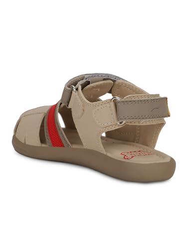 Image of Bubblegummers 1612 Starlight Grey Sandals Shoes for Kids|Everyday|Running|Walking|Comfortable Fit|Fashionable