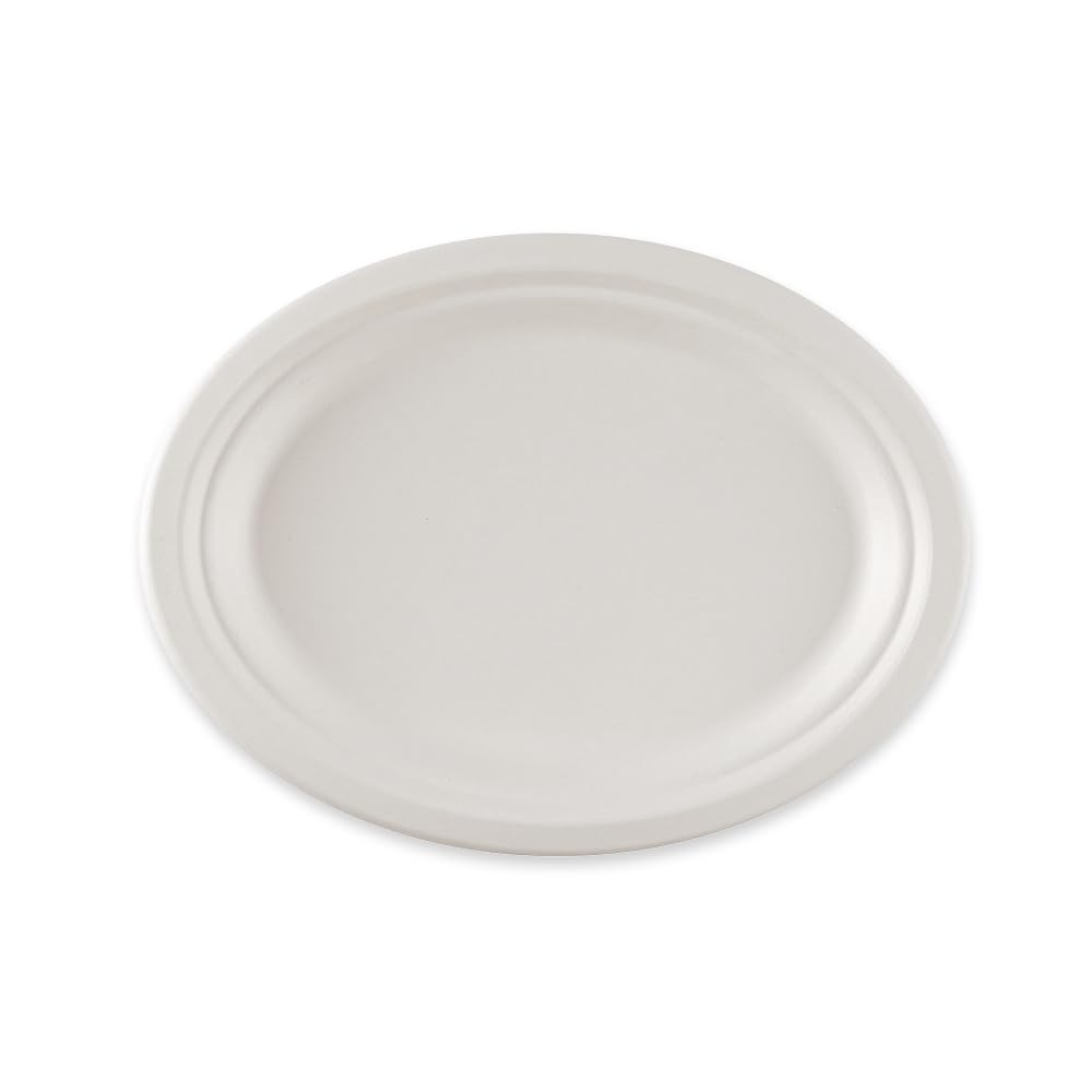FRANZ MENSCH 500 Stück NATUREStar Teller, oval | Zuckerrohr, weiß, L: 26, 5 cm, B: 20 cm, Karton, Einwegteller, Zuckerrohrteller, Einmalteller