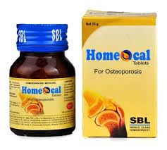 SBL Homeocal -25GM (Pack of 1) (B0CSG3LWKL) Amazon Price History, Amazon Price Tracker
