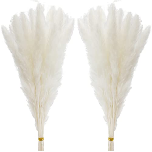 60 Pcs White Pampas Grass ,17 inch/45 cm Natural Dried Pampas Grass Branches Decor for Home Kitchen Garden Party Photographing Flower Arrangement Vase Decor（White