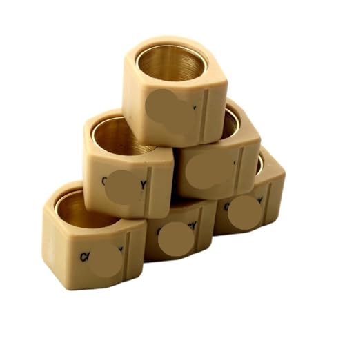 Masselottes de course 25x20 mm de 16g pour variateur XCI 400