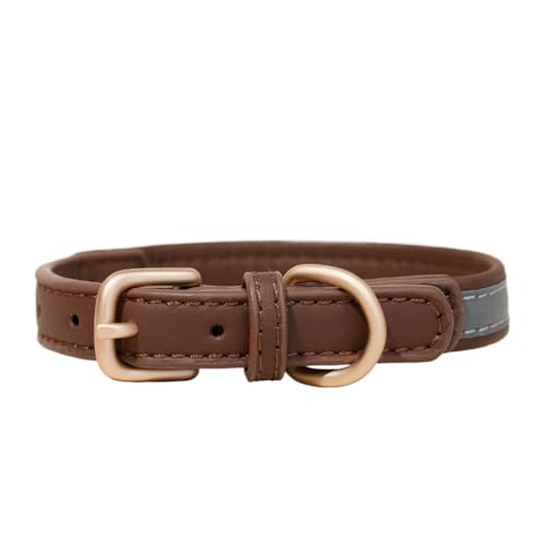 pցAA킢A^A^AU[ibhAMj (uE)