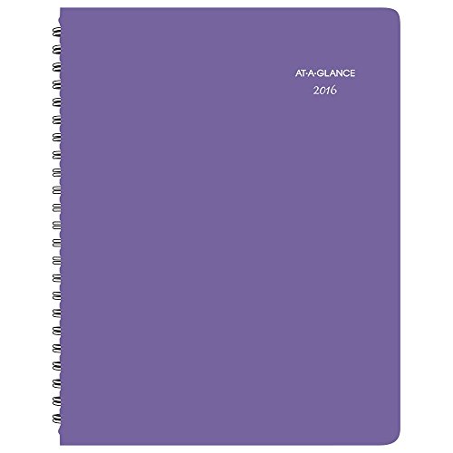 AT-A-GLANCE Professional Monthly Planner 2016, Premium, Beautiful Day, 8.5 x 11 Inches, Lavender (938P-900) by ACCO Brands
