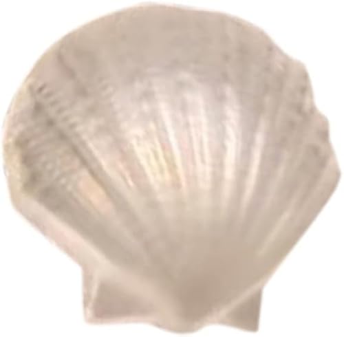 SHGDAIO Lampada di Natale LED Copper Line Luci di Natale, Decorazione della Stanza del Cortile della Serie Marina Luci di Natale e lampadario (E, Taglia Unica)