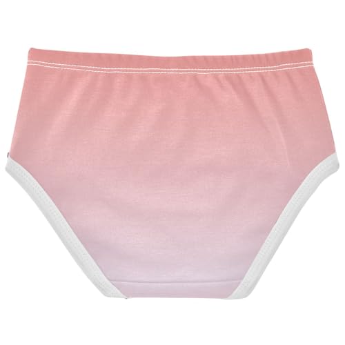Joisal Bright Girls Underwear Toddler 2t Cotton Panties Little Girl Coral Pink Lavender Gradient Briefs Undies Kids2