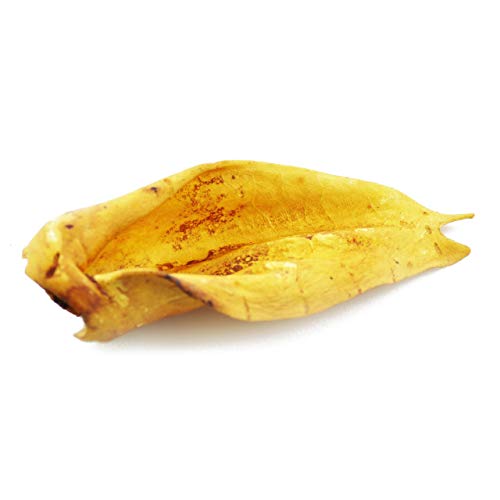 PawLove-Cow-Ears-4-Count-Pack-of-1 - Cucciolini Doodles   PawLove-Cow-Ears-4-Count-Pack-of-1