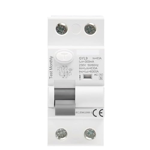 Disjoncteur temporisé GYL9 AC-S type de retard électromagnétique 2 poles 63A 40A
