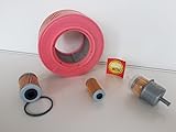 Kit de filtres Weber CR8 Kit de filtres compatibles avec plaque à vibrations Weber CR 8 avec moteur Hatz 1D81Z, filtre à huile, filtre à air, carburant