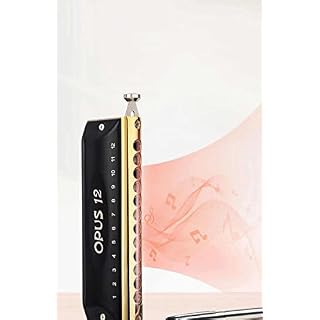 Easttop Opus Harmonica chromatique 12 trous - Les Beatles, Paul McCartney, John Lennon, RIngo Starr, George Harrison Easttop Opus Harmonica chromatique 12 trous – Image 4