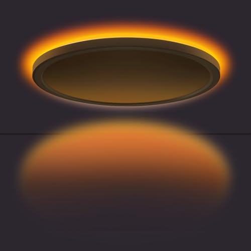 Dimmable Ceiling Lights Bedroom with Remote White APP Control LED Light Colour Changing with Golden Night Light 3200Lm 24W 3000-6500K Modern Flush Circular Ceiling Lamp for Hallway (11.81in)