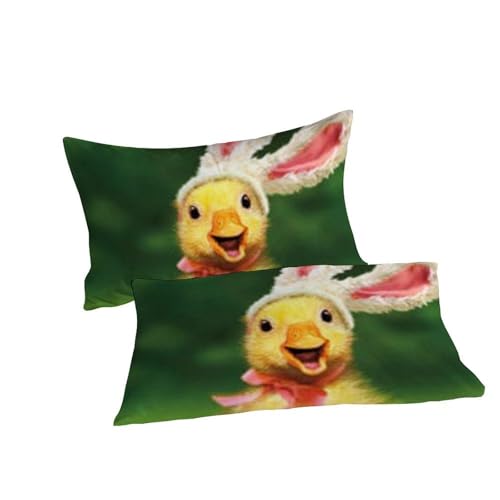 Housse de couette King animaux en microfibre douce à motif imprimé 3D