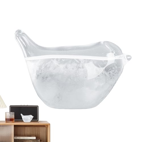Prédicteur Météo En Verre De Tempête, Bouteille En Verre De Baromètre De Station Météo, Station De Prévisions Météorologiques Pour La Décoration De Bureau À Domicile