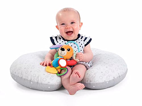 Chocalho Sr. Cão, Chicco, Multicolorido