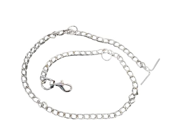 DOG CHAIN 10 NO for SMALL DOG (B0BPHPSFKF) Amazon Price History, Amazon Price Tracker