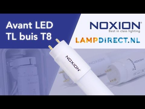 Tube LED T8 Avant Extreme Noxion - 14W 1910lm - 865 Lumière Du Jour