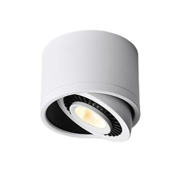 Foco LED de superficie de 10W regulable para corregir zonas oscuras en casa