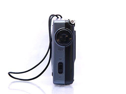 Image of Tecsun R-9012 AM /FM /SW 12 Bands Shortwave Portable Radio for Home Receiver Gray