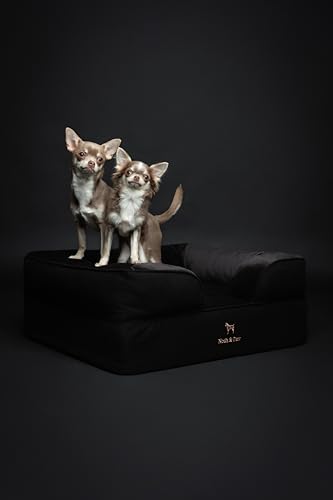 Image of NOAH & PAW Dog Bed, 28x23x11 Inch, Orthopedic Dog Beds for Medium Size Pets, Eggshell Memory Foam Infused with Cooling Gel, Inner Cover, Water Resistant, Machine Washable (Denim Sofa Collection)