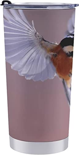  1 }O t@bV ԃJbv ԗpJbv R[q[Jbv ԗp|bg ԗpPg ۉt ۉ ۗ ӂt 600ml J[pi Vv y e jp