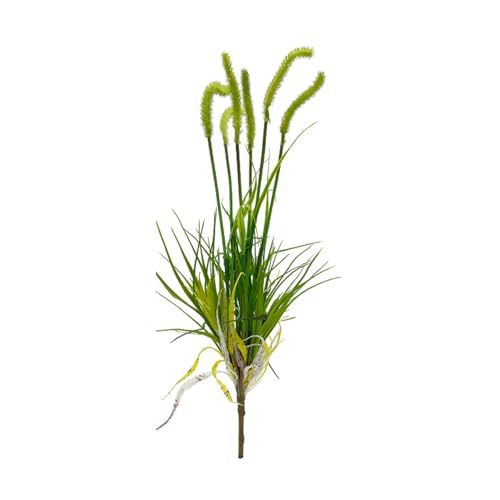 Decoração de Grama de Pampas, Pampas, Cebola, Chão, Planta, Cauda de Coelho, buquê de Flores Secas p