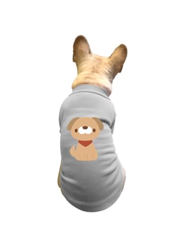 ���� �����肵�Ă��錢 �y�b�g�� T�V���c �H�~ �g���[�i�[ �L�� �h�� �g���� �J�W���A�� ������� ������ ���[���E�F�A ���� �E�ѕی� ���o���� �U�� S