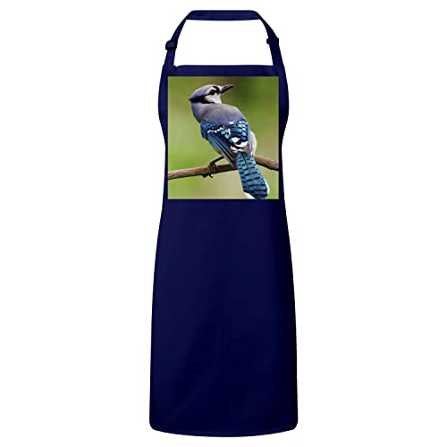 Tablier cuisine geai bleu magnifique cadeau idéal photo nature sauvage