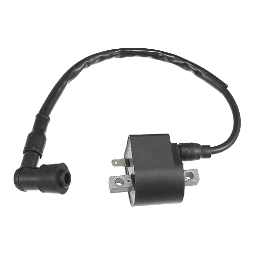 QUARKZMAN 1 pcs CDI Allumage Bobine pour Suzuki LT50 2X4 Quadrunner 50 1984-1987