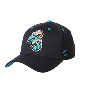 Zephyr Men’s Standard ZH Black Stretch Fit Hat