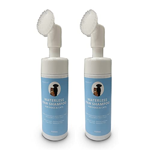 How To Find The Best Paw Cleaner For Your Dog’s Hygiene Needs