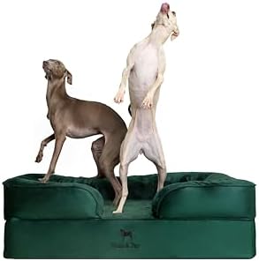 NOAH & PAW Large Dog Bed, 35x25x11 Inch, Orthopedic Dog Beds, Egg...