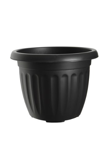 Whitefurze G07R30 30 Centimetri Rotonda Atene