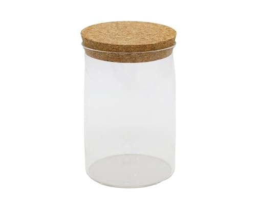 OXXNGA ~ O|bgL RNt RNKXr 12_