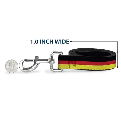 Laisse pour chien 6 pieds Buckle Down ideale pour balade