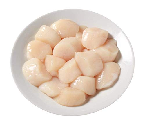 Scallop Sea 10/20 Fresh