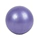 ティラピスボール アクティビティボール パープル 20cm エクササイズボール ヨガボール ミニ 柔らかい 20センチ 足 ピラティスボール 内転筋 ボール