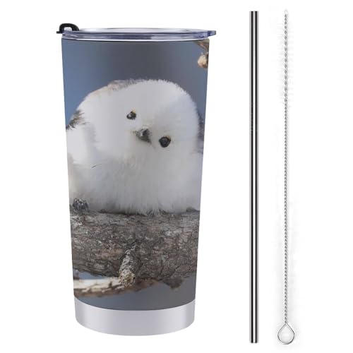 V}GiK  ԗpRbv ԗp^u[  ԃJbv }OJbv ۉۗ XeX _CNg^Cv R[q[Jbv J[pi RrjJbv t^t 600ml Ԓ