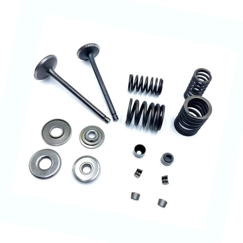 Kit de reconstruction Stels 300B pour stopper la fumée moteur