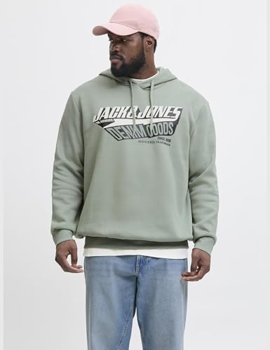 JACK & JONES JJELOGO Sweat Hood 2 COL 24/25 NOOS – Ansicht 3