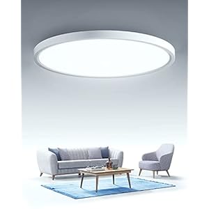 LED Ceiling Light 24W Round Bathroom Lamp Ceiling 2880lm 6500k Cold White Bathroom Lamp 30cm X 2.4cm IP44 Waterproof for…
