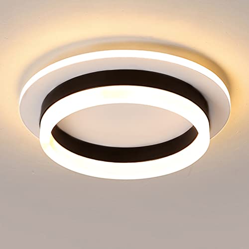 Round Modern LED Flush Mount Ceiling Lamp, 24W LED Light