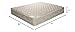 Leggett & Platt AirDream Hypoallergenic Inflatable Mattress with Electric Hand Pump for Sleeper Sofas, 60